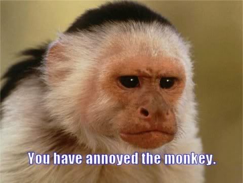 you-have-annoyed-monkey